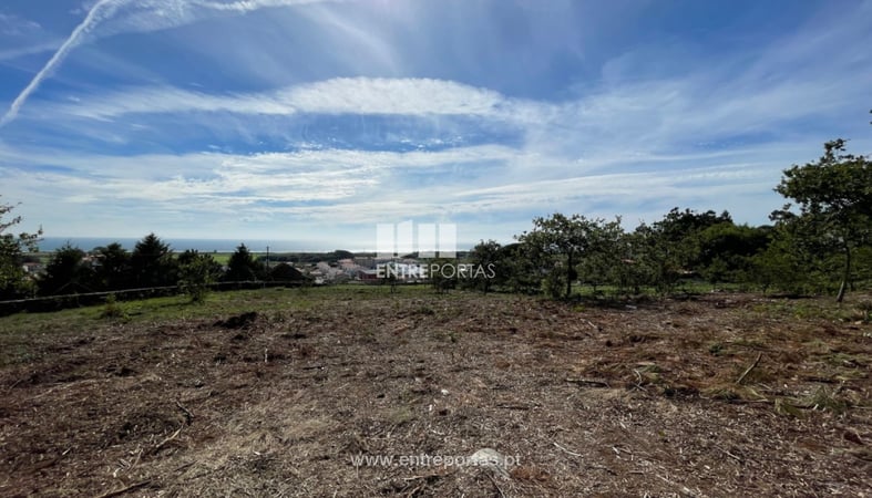 House in Areosa - view 1