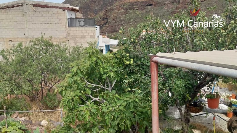 Land in Tamaimo - view 1