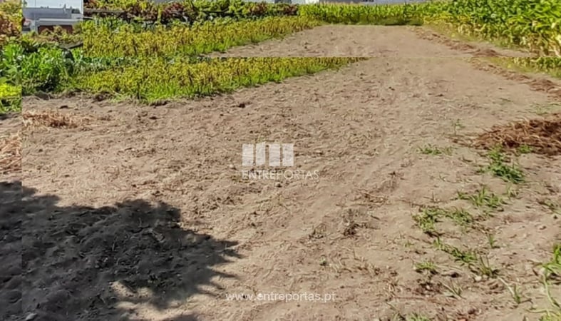 House in Viana do Castelo - view 1