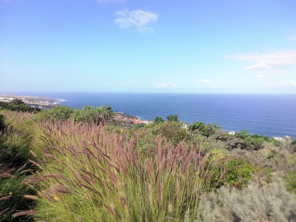 House in Santa Cruz de Tenerife - view 1