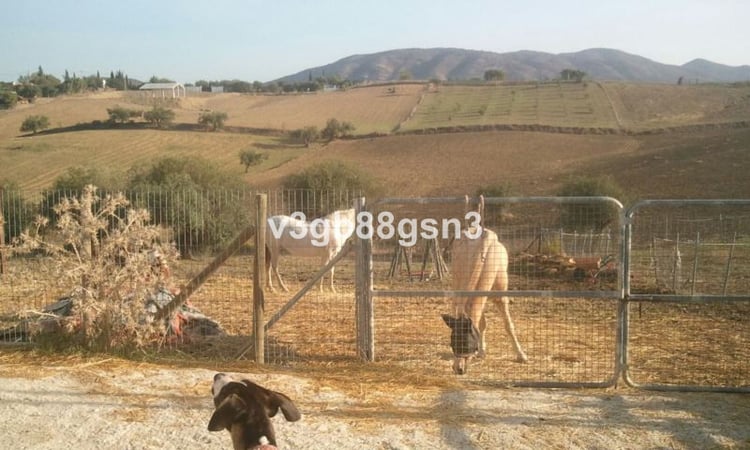 House in Alhaurin el Grande - view 1