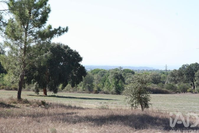Land in Melides - view 1