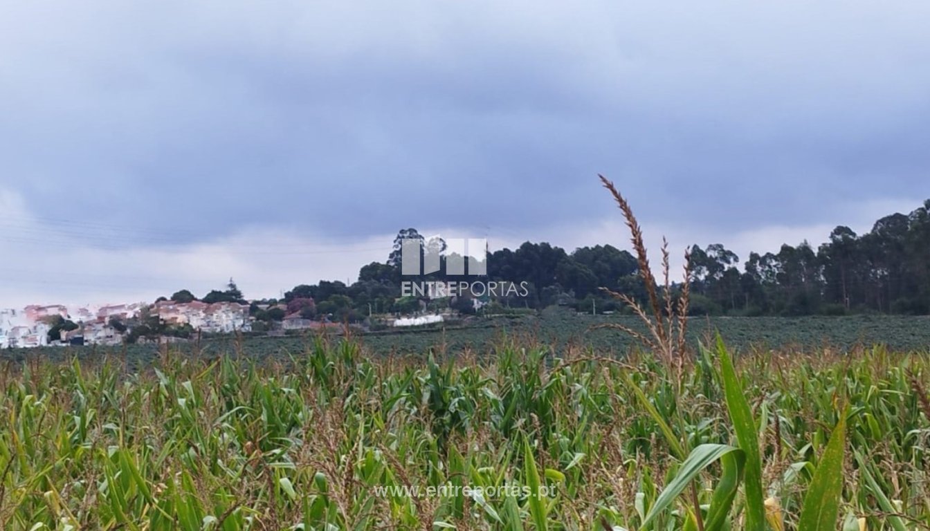 House in Guilhabreu - Image 2
