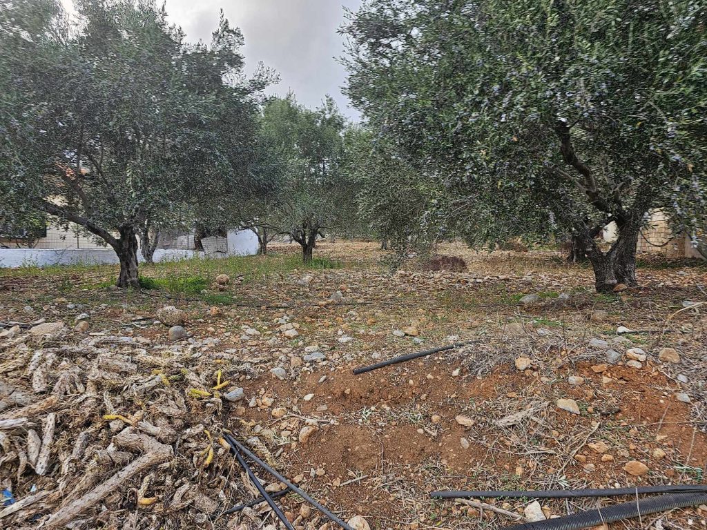 House in Flamouriana