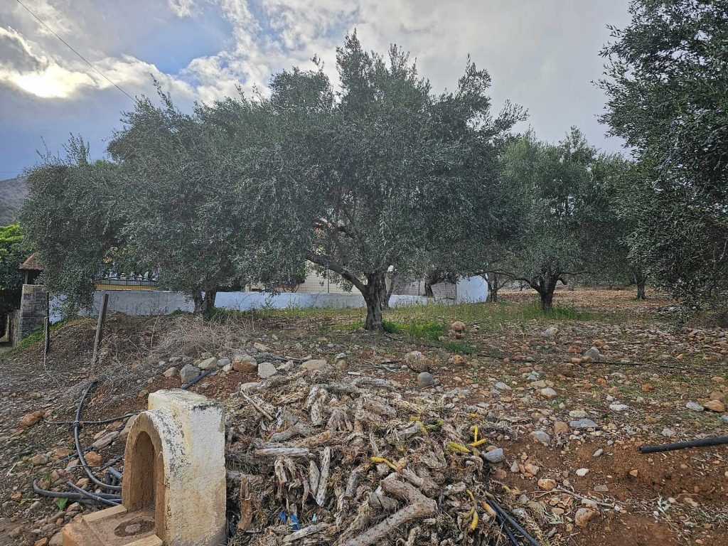 House in Flamouriana - Image 2