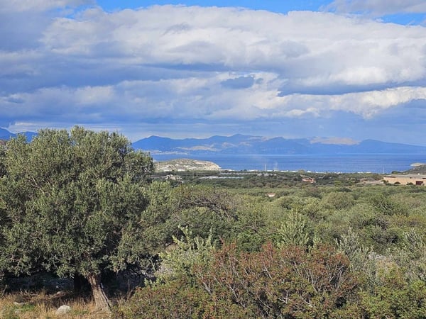House in Eparchia Ierapetras - view 1