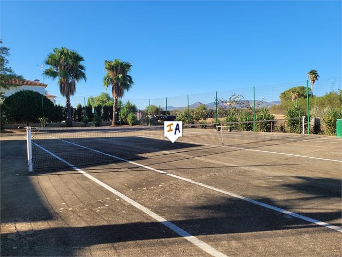 Villa in Puente-Genil - Image 3