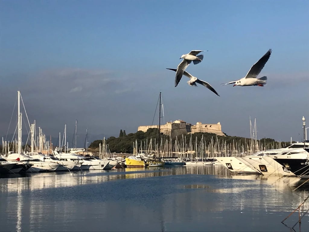 Apartment in Antibes - Image 2