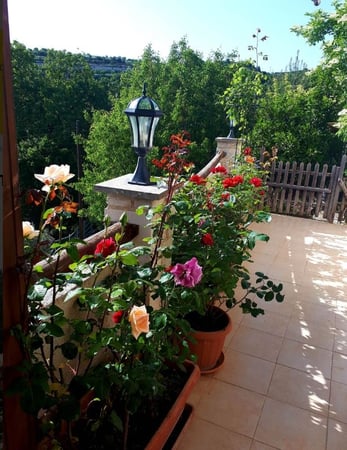 House in Arsos - view 1