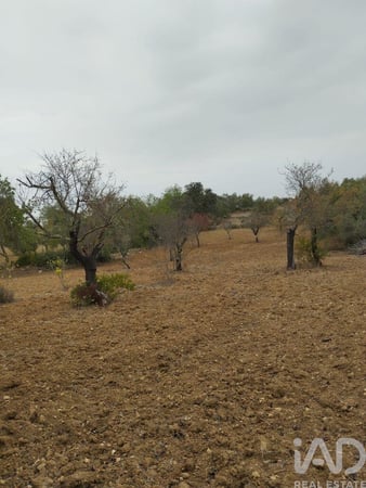 Land in Sao Bras de Alportel - view 1