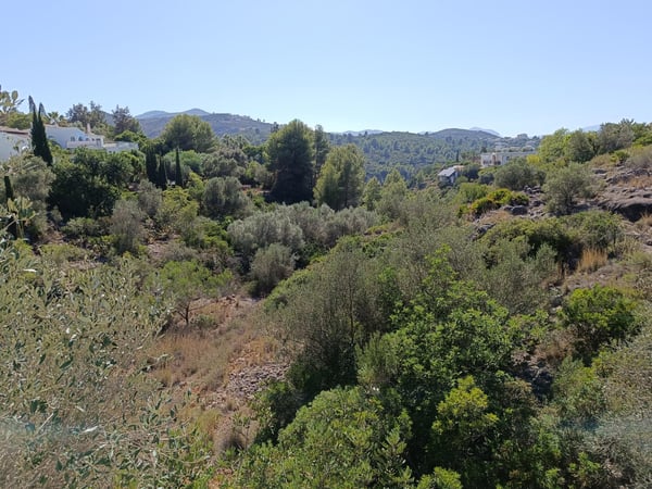 Land in Sagra - view 1