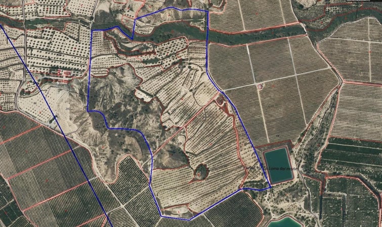 Farm, Ranch or Equestrian in Torremendo - view 1