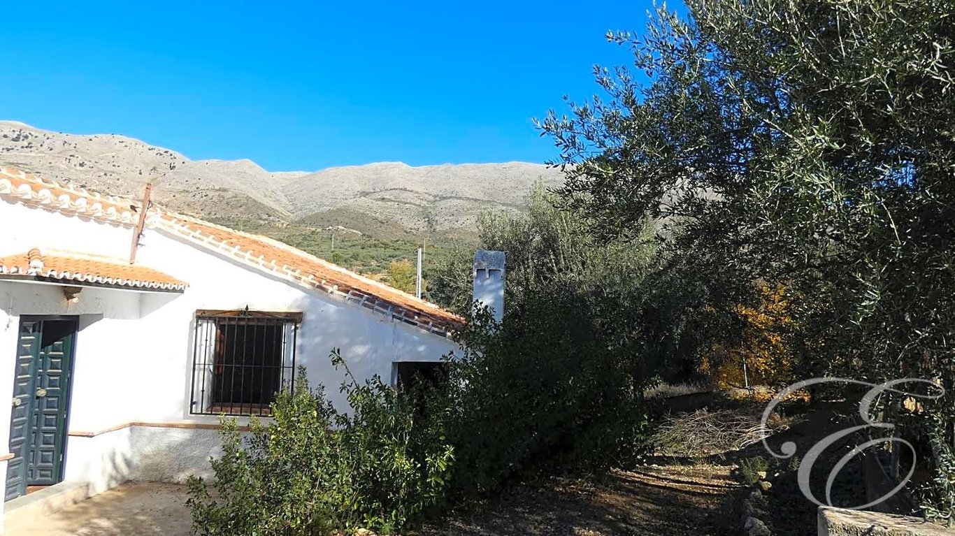 House in Torre del Mar