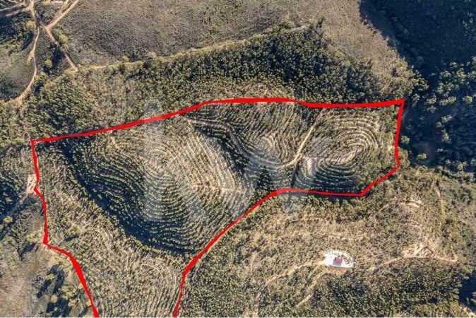 Land in Aljezur - view 1