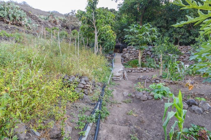 Land in Mogan - view 1
