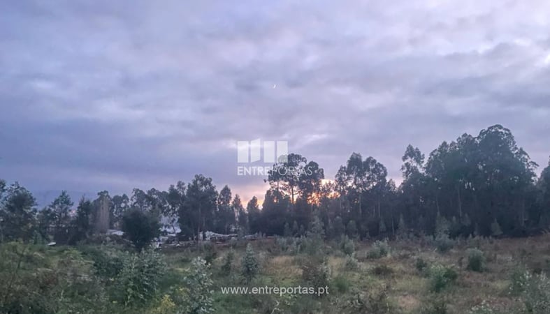 House in Viana do Castelo - view 1