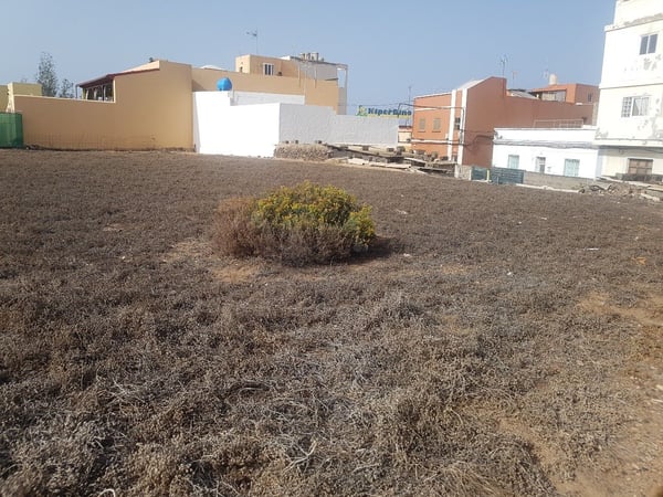 Land in Agueimes - view 1