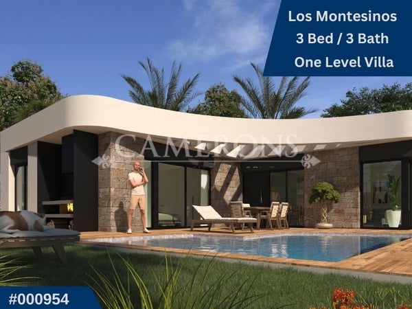 House in Los Montesinos - view 1