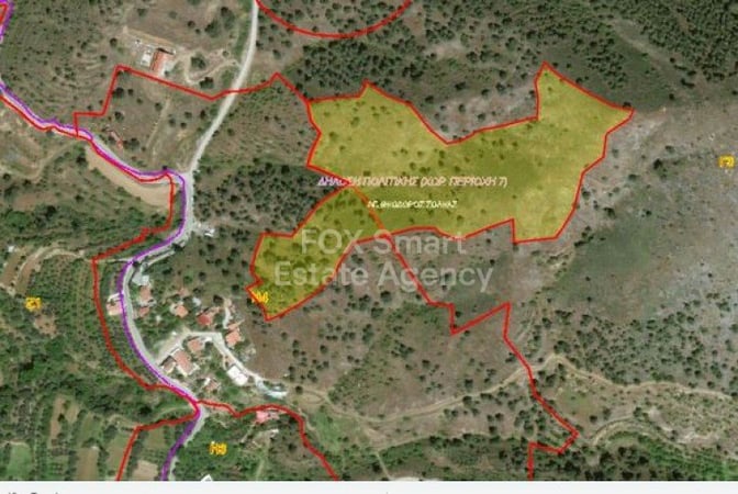 Land in Agios Theodoros - view 1