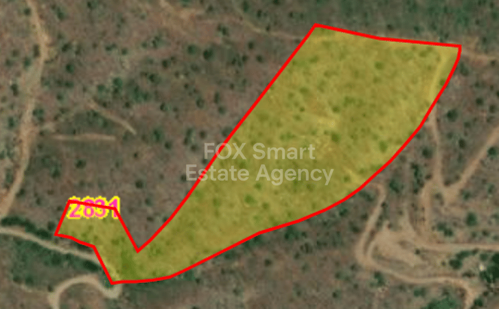 Land in Evrychou - view 1