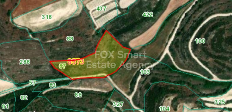 Land in Kathikas - view 1