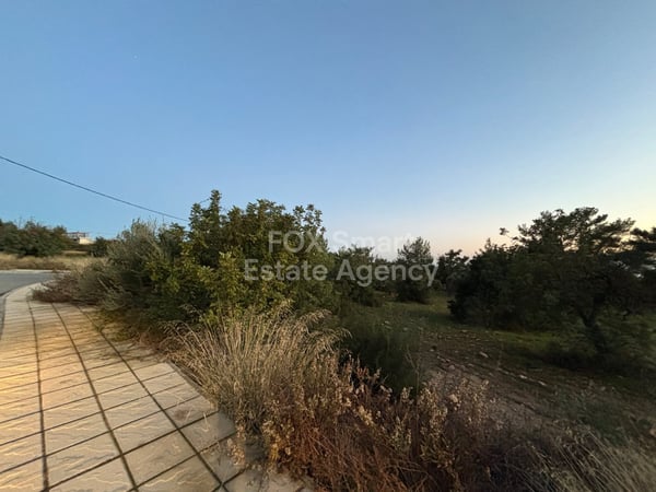 Land in Anogyra - view 1