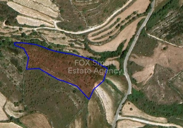 Land in Kathikas - view 1