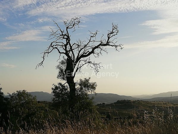 Land in Vouni - view 1