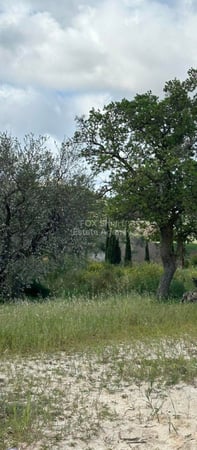 Land in Armou - view 1