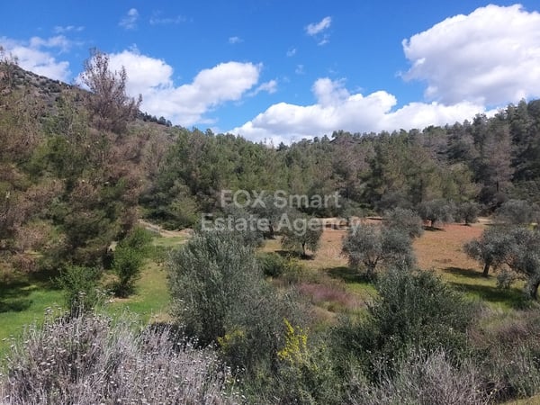 Land in Lythrodontas - view 1