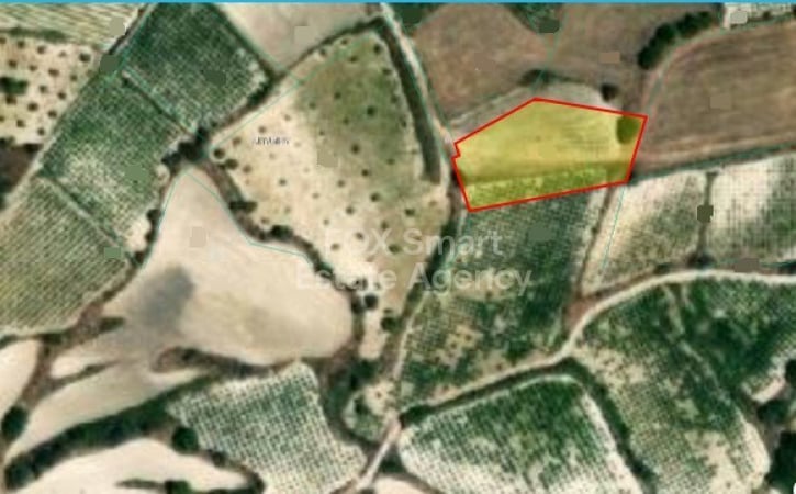 Land in Letymvou - view 1