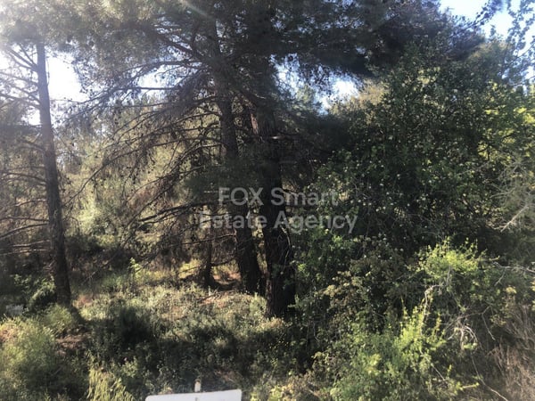 Land in Pera Pedi - view 1