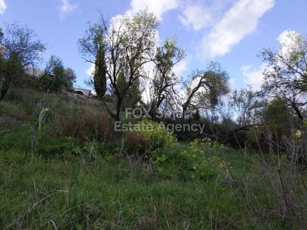 Land in Letymvou - view 1