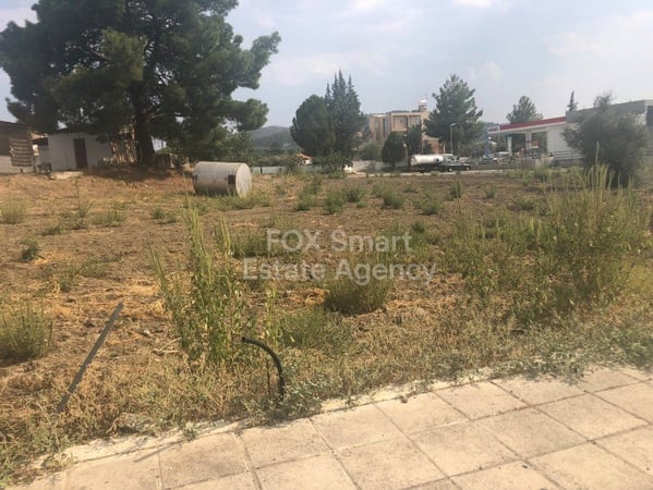 Land in Lythrodontas - view 1