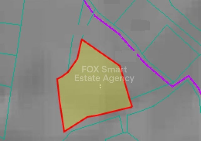 Land in Mesogi - view 1