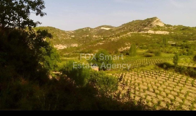 Land in Mandria - view 1