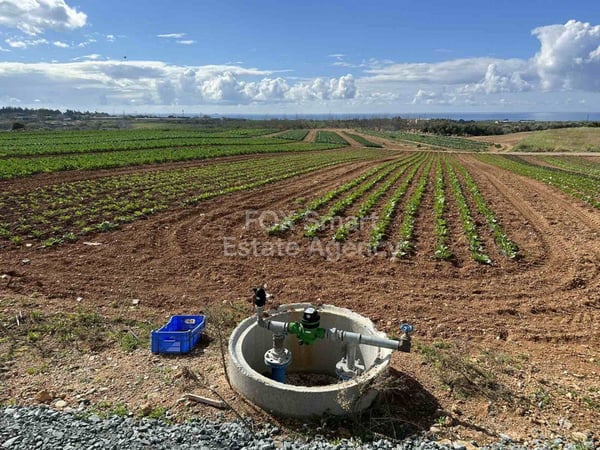 Land in Anarita - view 1