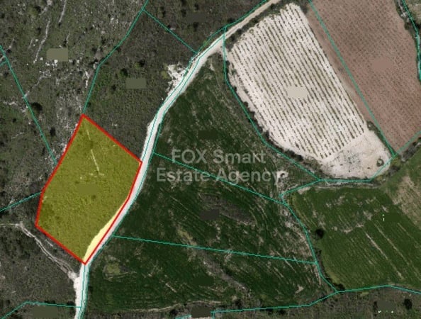 Land in Kathikas - view 1