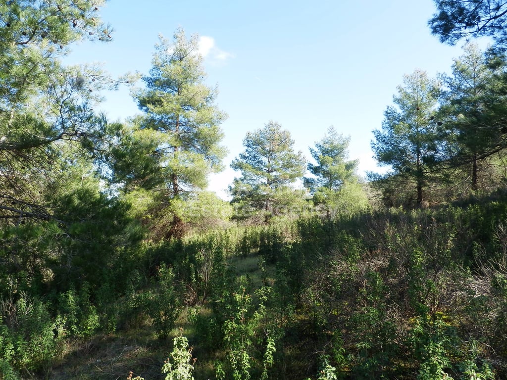 Land in Fikardou - Image 2