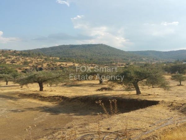 Land in Kalo Chorio (Oreinis) - view 1
