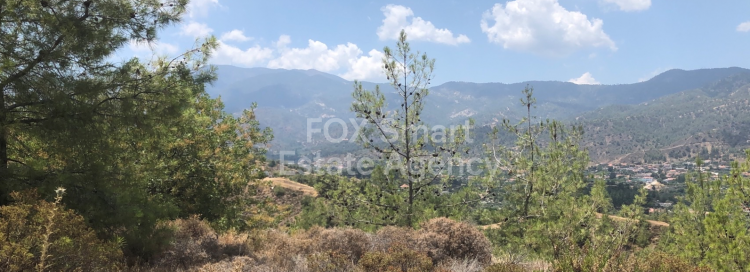 Land in Evrychou - view 1