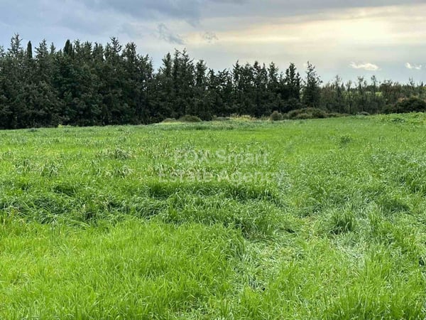 Land in Nikokleia - view 1