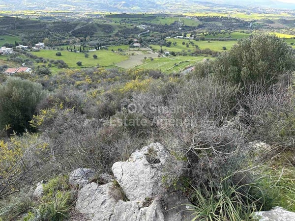 Land in Steni - view 1