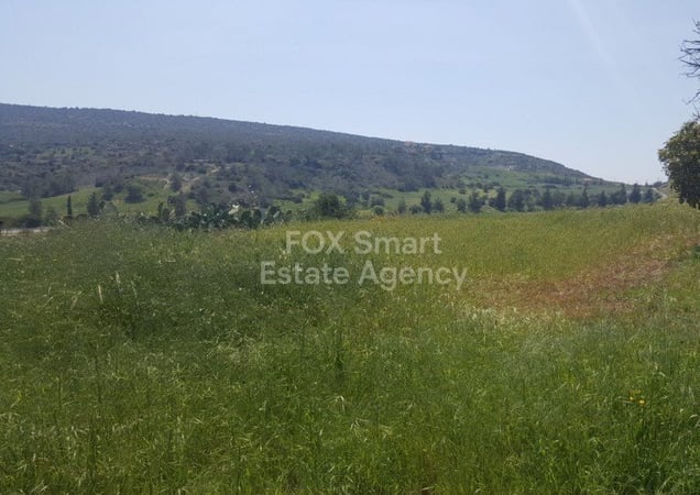 Land in Agia Trias - view 1