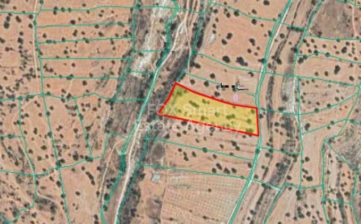 Land in Pachna - view 1