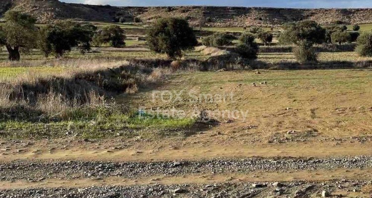 Land in Tseri - view 1