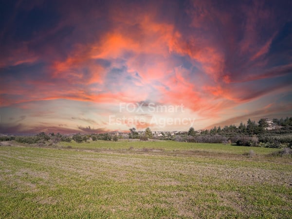 Land in Kalo Chorio (Oreinis) - view 1
