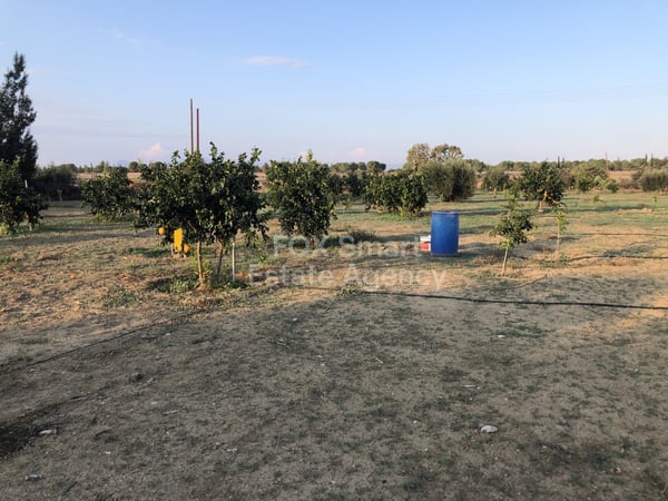 Land in Palaiometocho - view 1