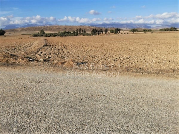 Land in Mammari - view 1