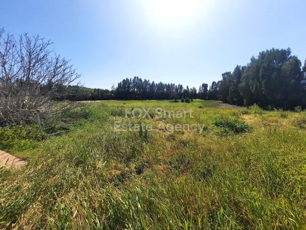 Land in Geri - view 1